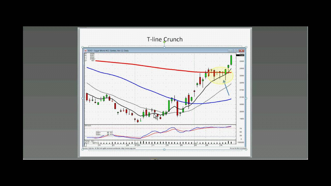 Jay lakhani forex trader