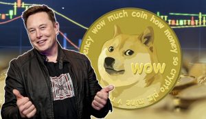 Køb Dogecoin [maj 2024]– sådan kommer du i gang med at investere i dogecoin!