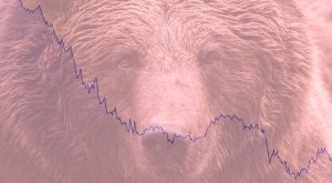 Fem vigtige regler, når du investerer i et bear-marked
