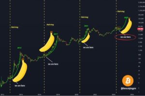 Kryptovaluta: Er vi på vej ind i den totale Banana-zone?